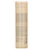 Blonde Reconstructor - Blond Keeper Shampoo 250Ml - Image 3